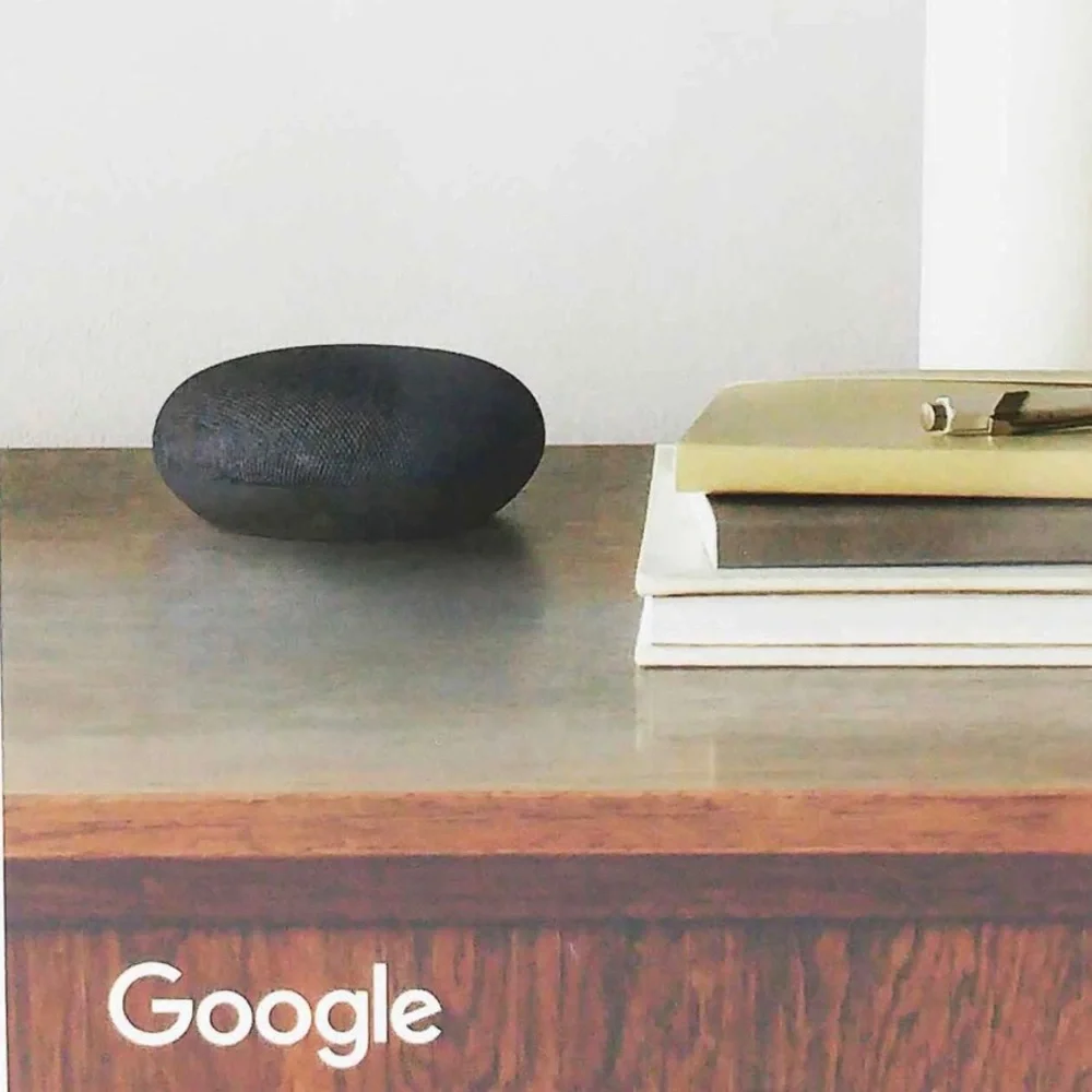 Google Nest Mini Smart Speaker, Charcoal (GA00781-US)